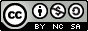 Icon Lizenz